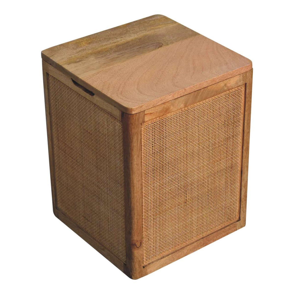 Larissa Storage Box Storage Bench | Rattan Linen Hidden Storage