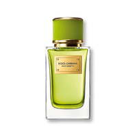 Dolce & Gabbana Velvet Mughetto Eau de Parfum 100ml Spray