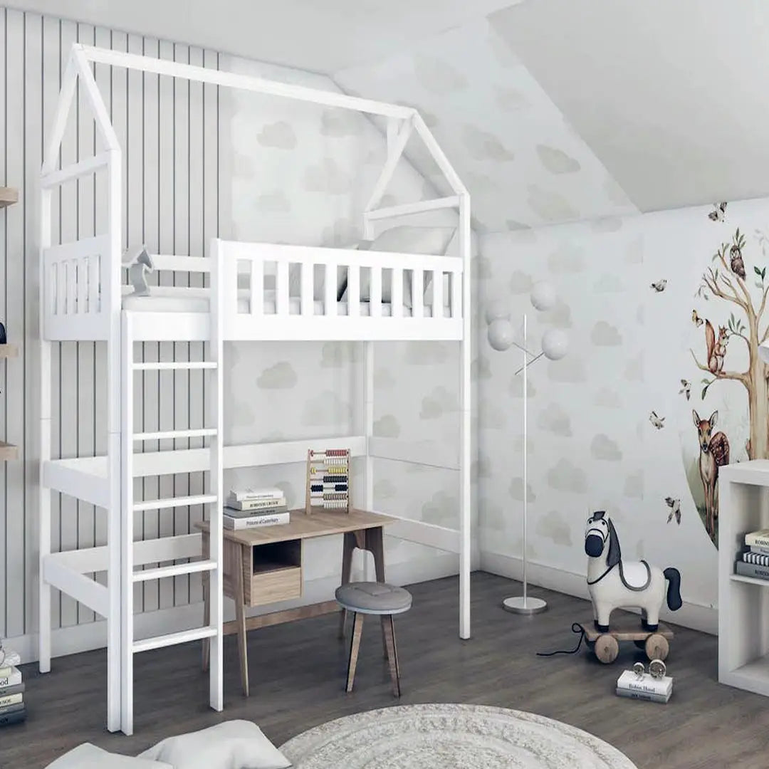 Bunk Beds and Loft Beds for Kids
