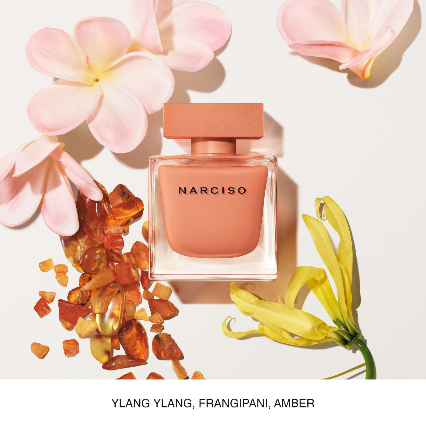 Narciso Rodriguez Narciso Ambree Eau de Parfum 50ml Spray
