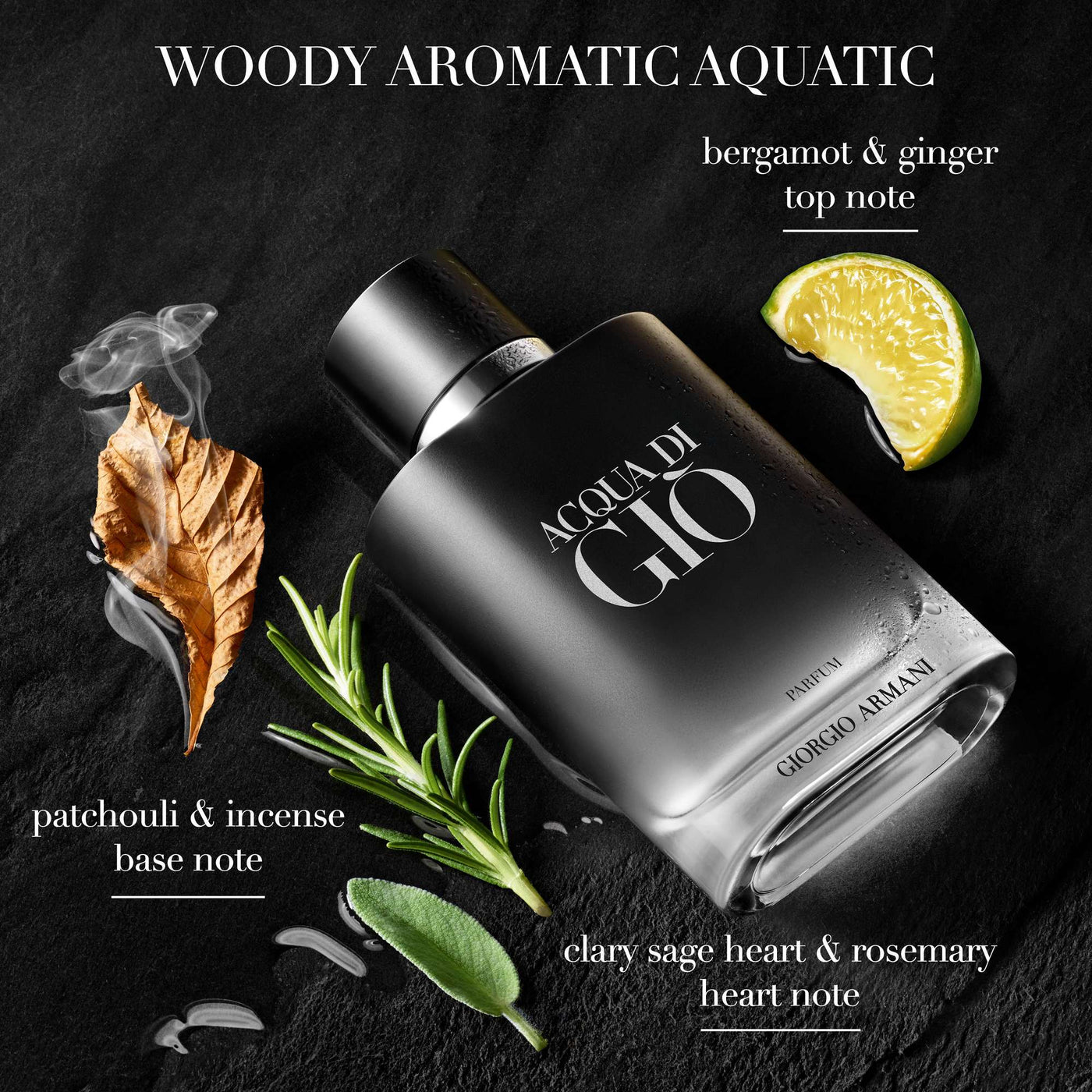 Giorgio Armani Acqua di Gio Parfum 100ml Refillable Spray