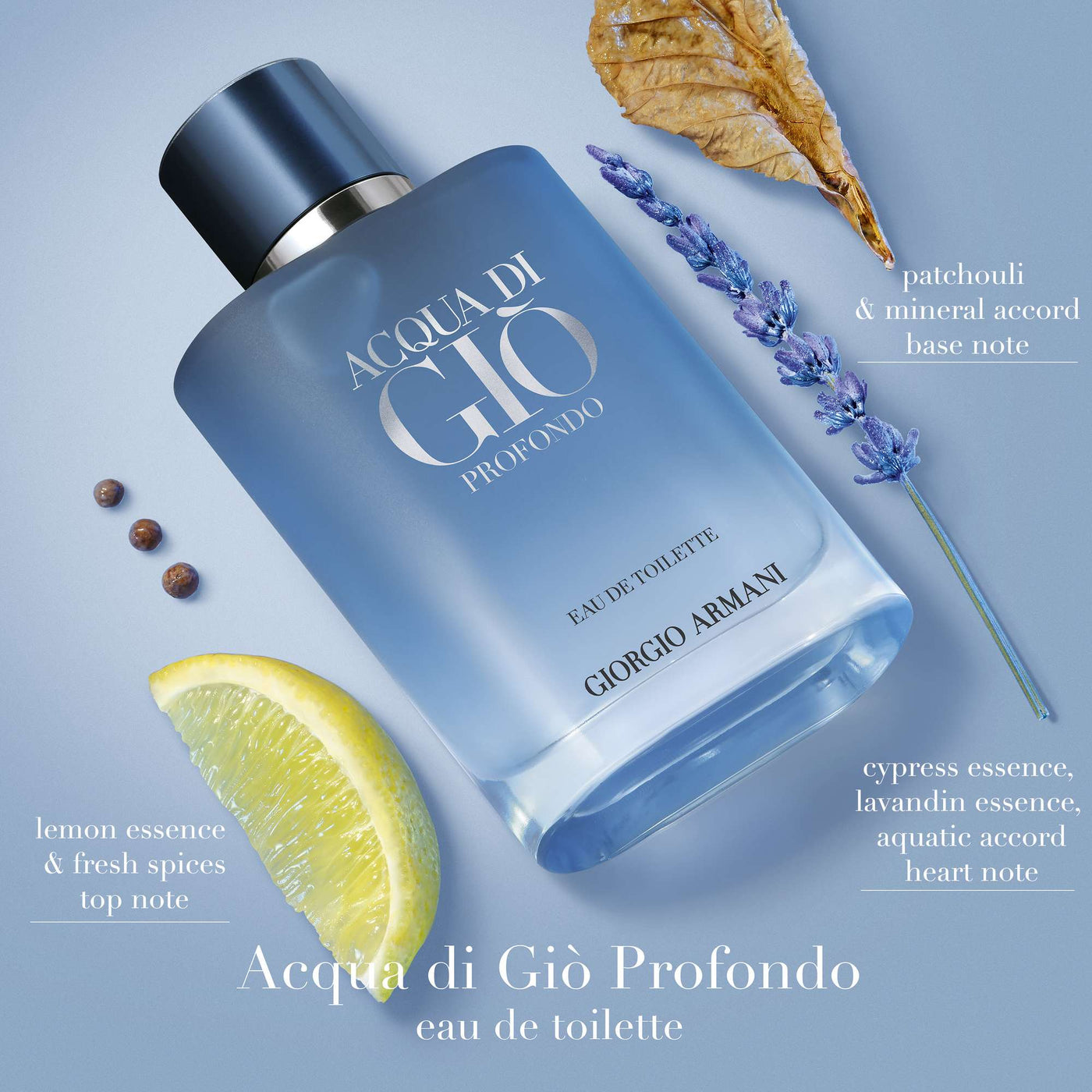 Giorgio Armani Acqua di Gio Profondo Eau de Toilette 100ml Spray