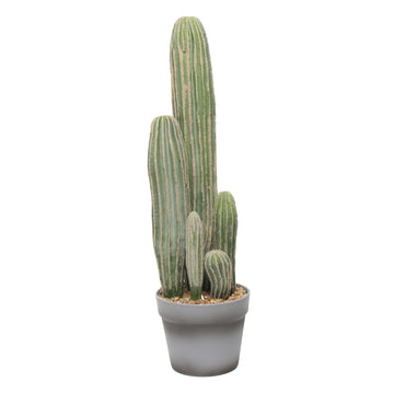 Artificial Potted Cactus (23inch)
