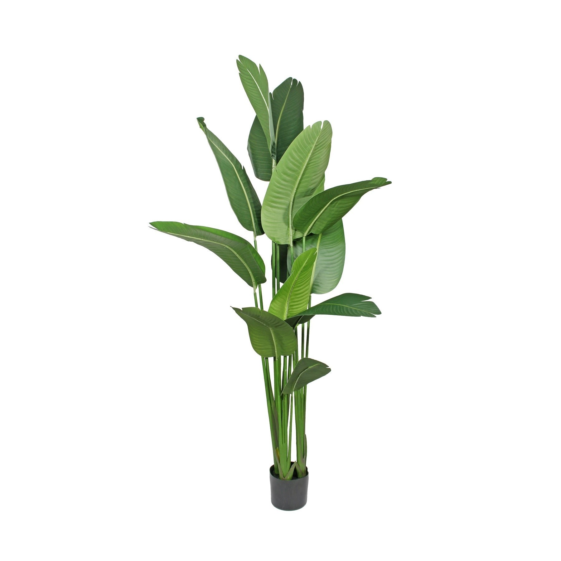 Artificial Strelitzia Plant in Pot (180cm)
