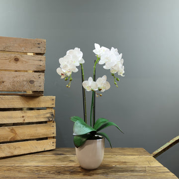 Artificial White Phalaenopsis in Planter (Medium - 3 Stems)