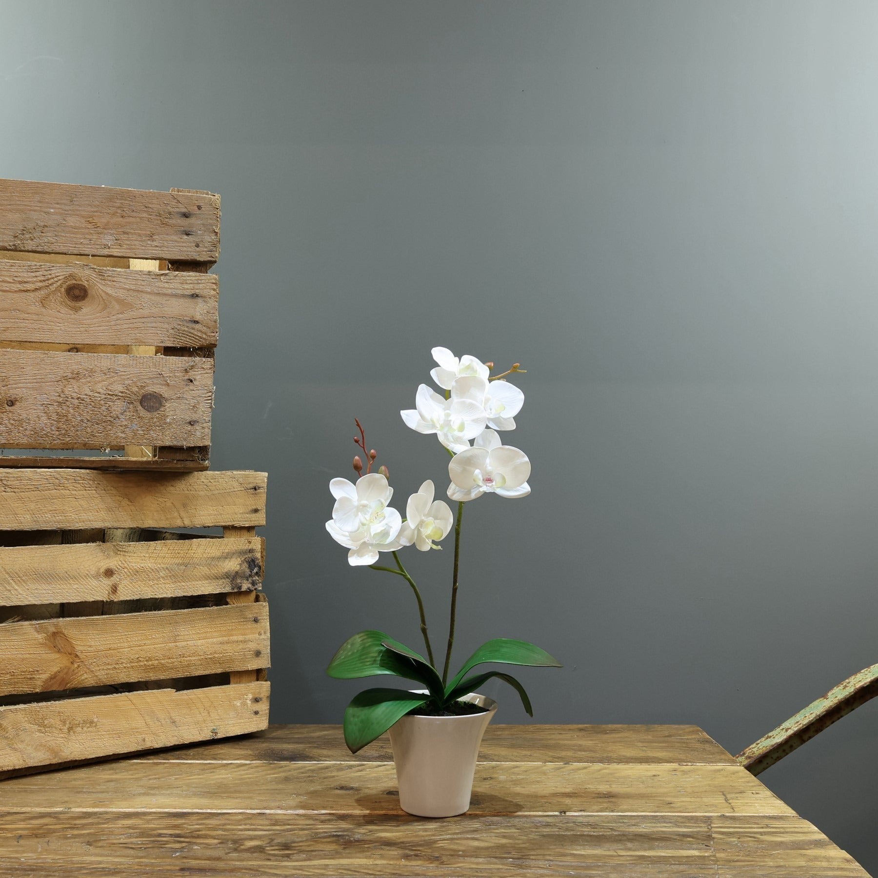 Artificial White Aragon Phalaenopsis in Brown Planter 40cm (Medium - 2 Stems)