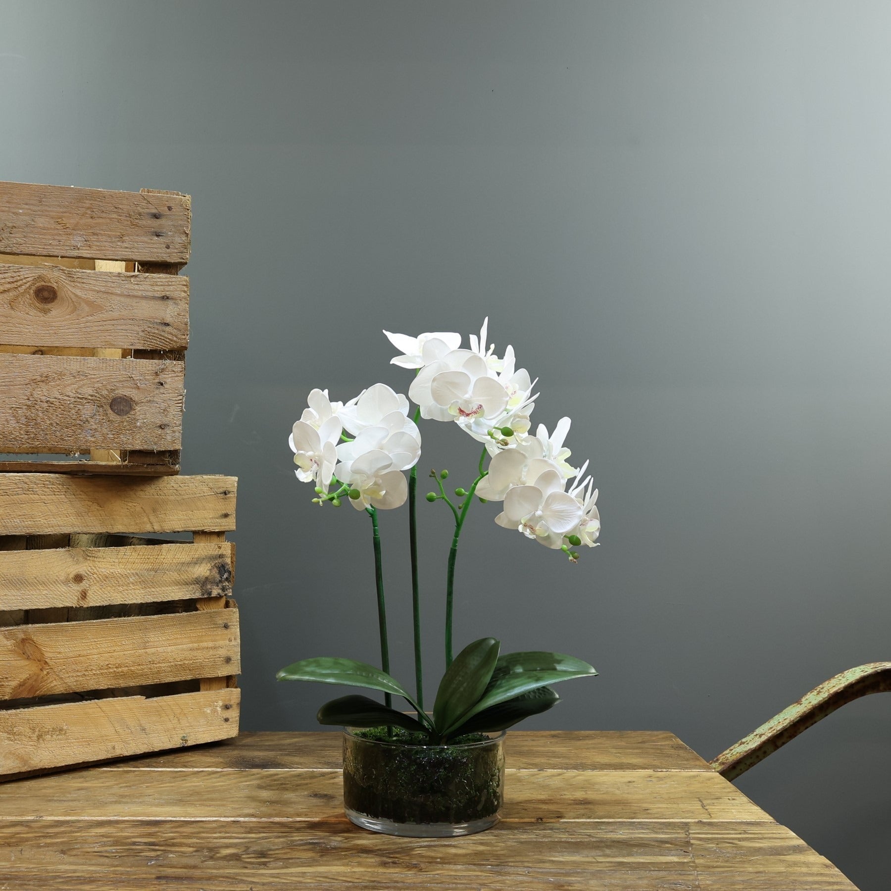 Artificial White Aragon Phalaenopsis in Glass Planter (Medium - 3 Stems)