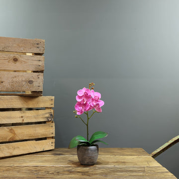 Artificial Pink Aragon Phalaenopsis in a ceramic Planter (Medium - 1 Stem)