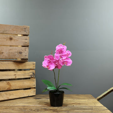 Artificial Pink Aragon Phalaenopsis in a ceramic Planter (Medium - 2 Stems)