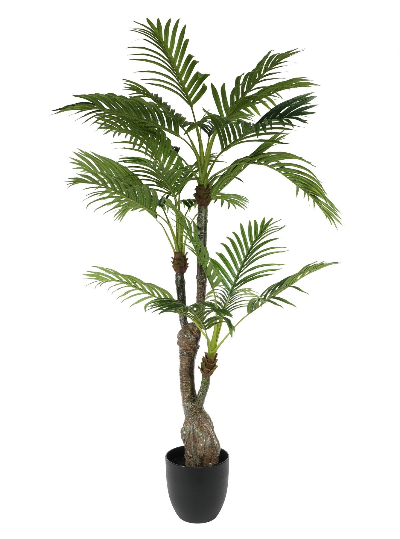 Palm Potted House Plant (130cm)