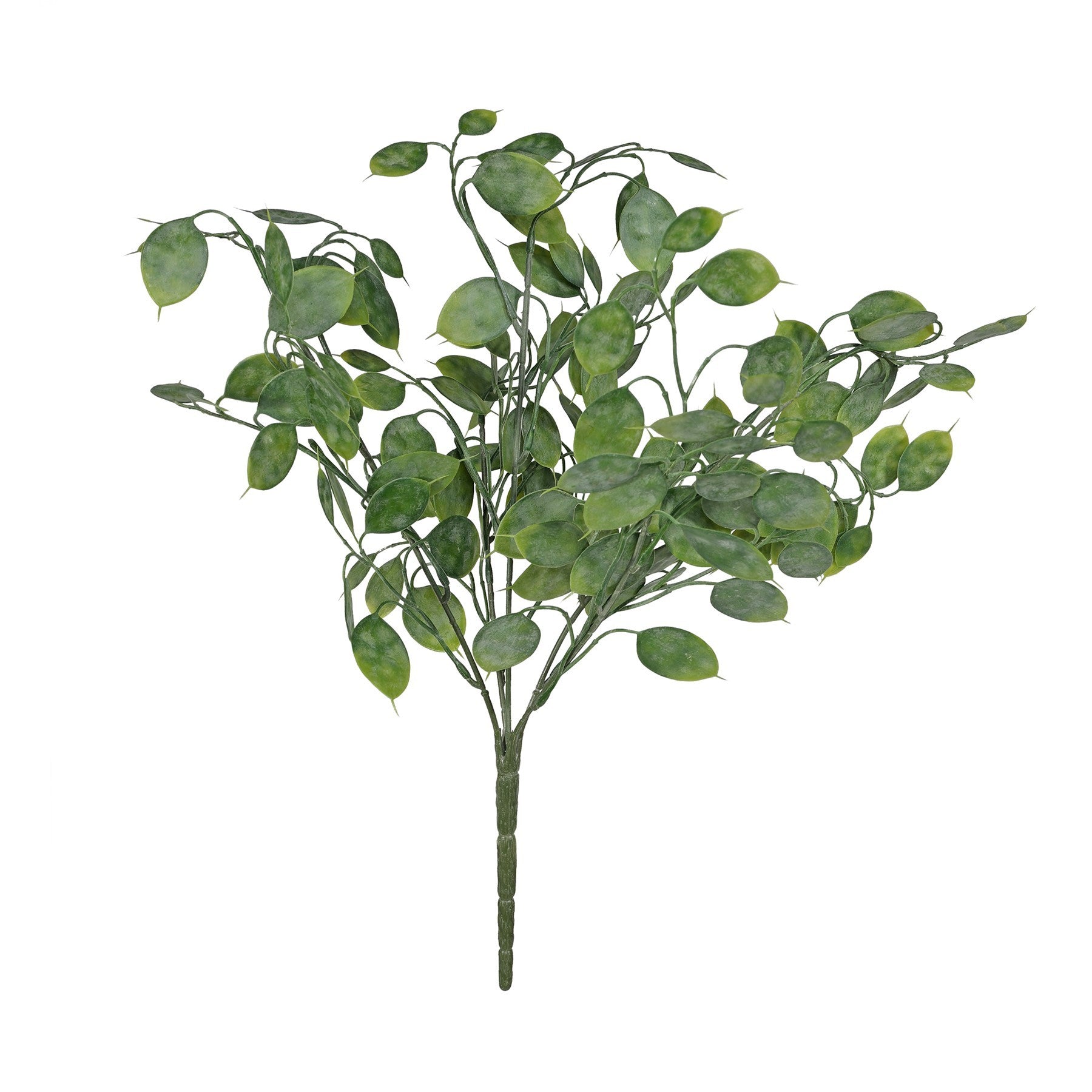 Botanica Honesty Leaf Bush (43cm)