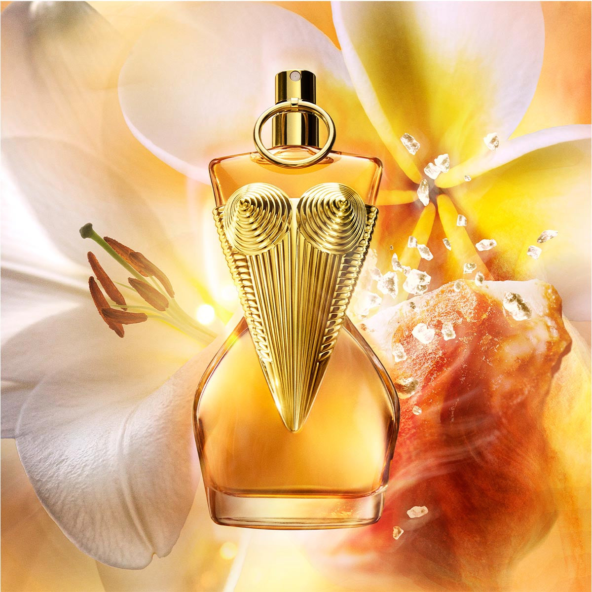 Jean Paul Gaultier Divine Le Parfum Eau de Parfum 50ml Spray