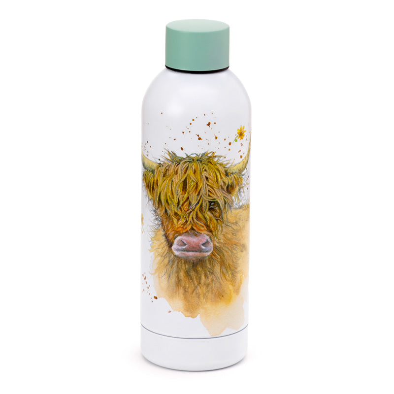 Reusable Stainless Steel Insulated Drinks Bottle 530ml - Jan Pashley Highland Coo Cow