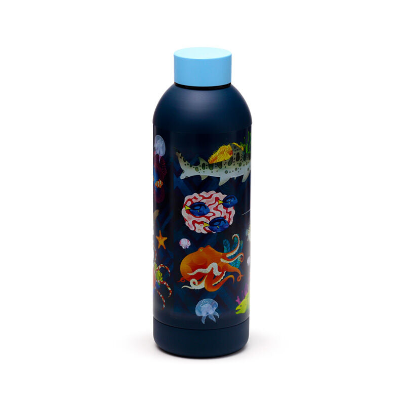 Reusable Insulated Drinks Bottle 530ml - Marine Kingdom