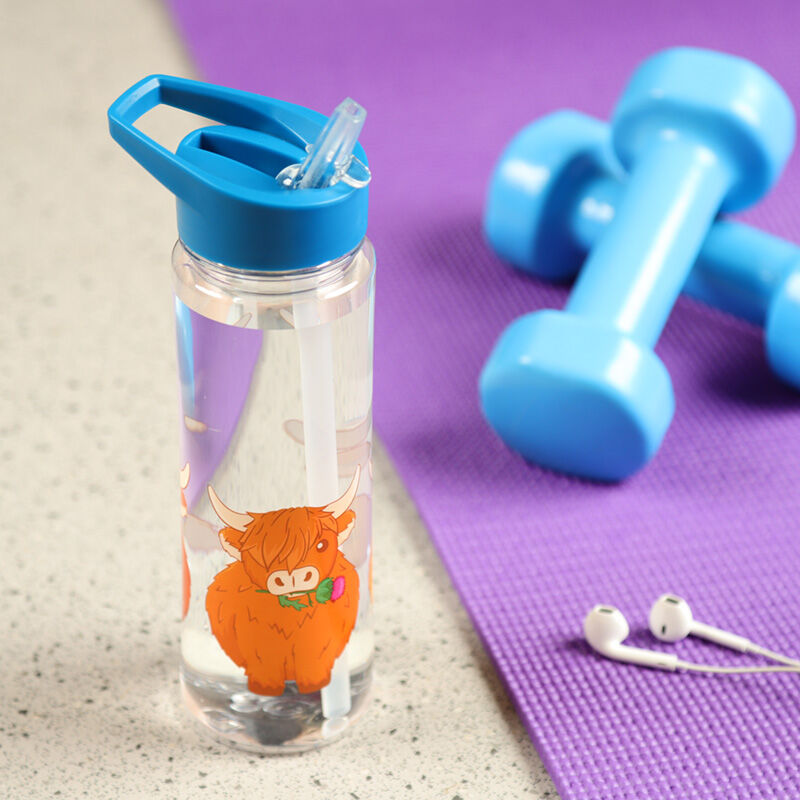 Reusable Water Bottle 550ml - Highland Coo Cow