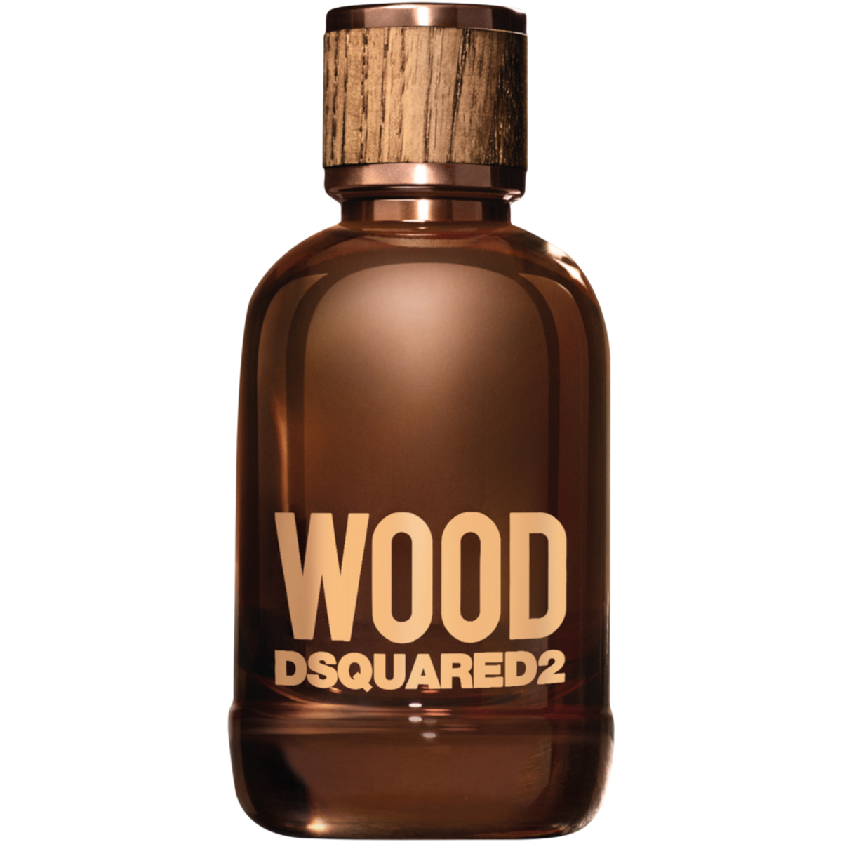 DSquared2 Wood For Him Eau de Toilette 100ml Spray