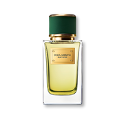 Dolce & Gabbana Velvet Vetiver Eau de Parfum 100ml Spray