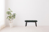 Nordic Style Emerald Bench