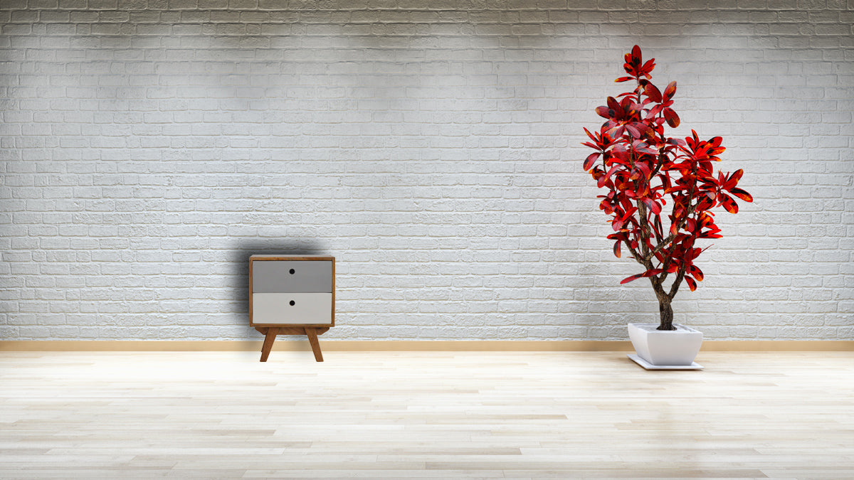 Two Tone Hand Painted Bedside Table | Hand-Painted Mango Wood