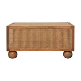 Larissa Large Coffee Table | Oak Mango Wood