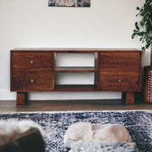 Tula Media Unit