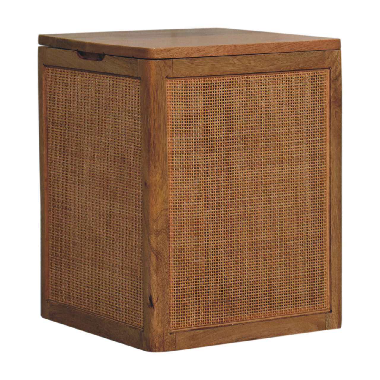 Larissa Storage Box Storage Bench | Rattan Linen Hidden Storage