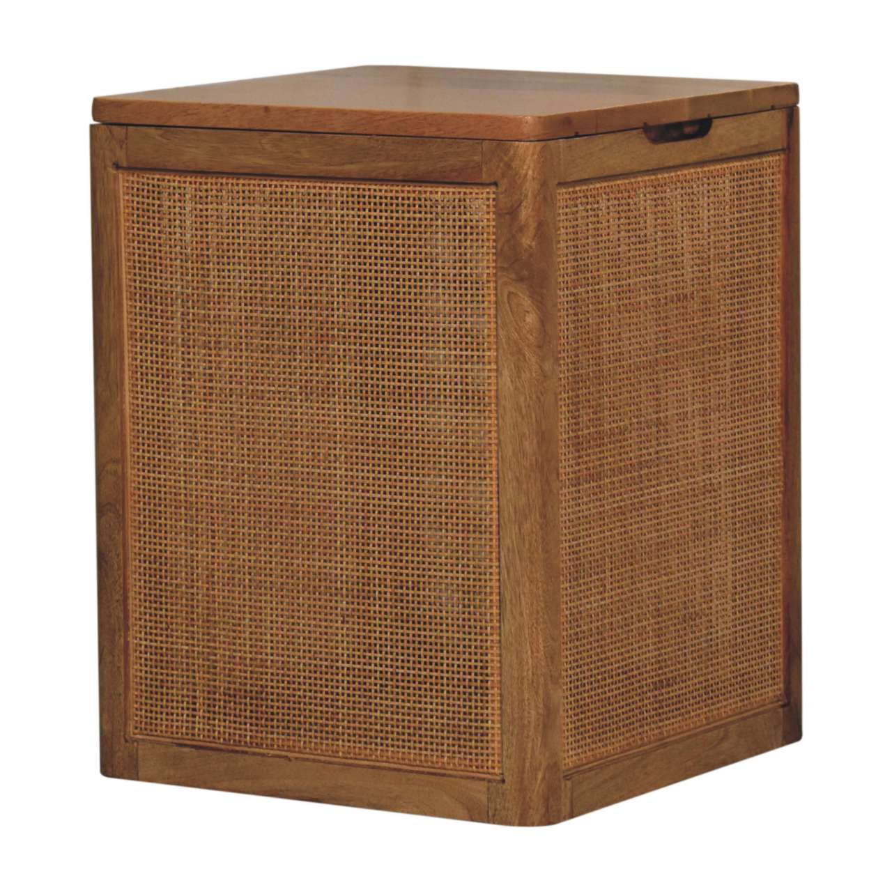 Larissa Storage Box Storage Bench | Rattan Linen Hidden Storage