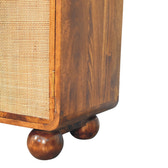 Larissa 2 Door Chestnut Cabinet