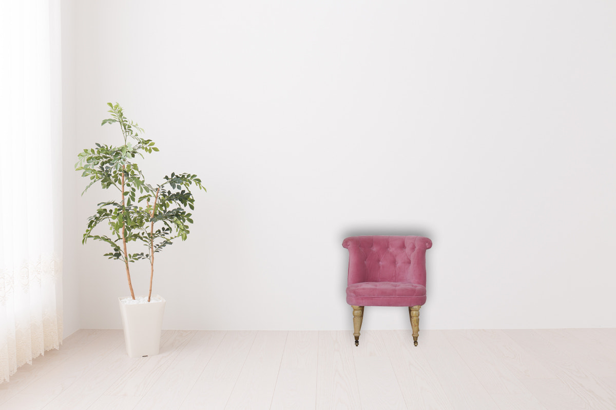 Pink Velvet Accent Chair | Cotton Velvet
