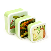 Lunch Boxes Set of 3 (M/L/XL) - Tropical Tree Frog