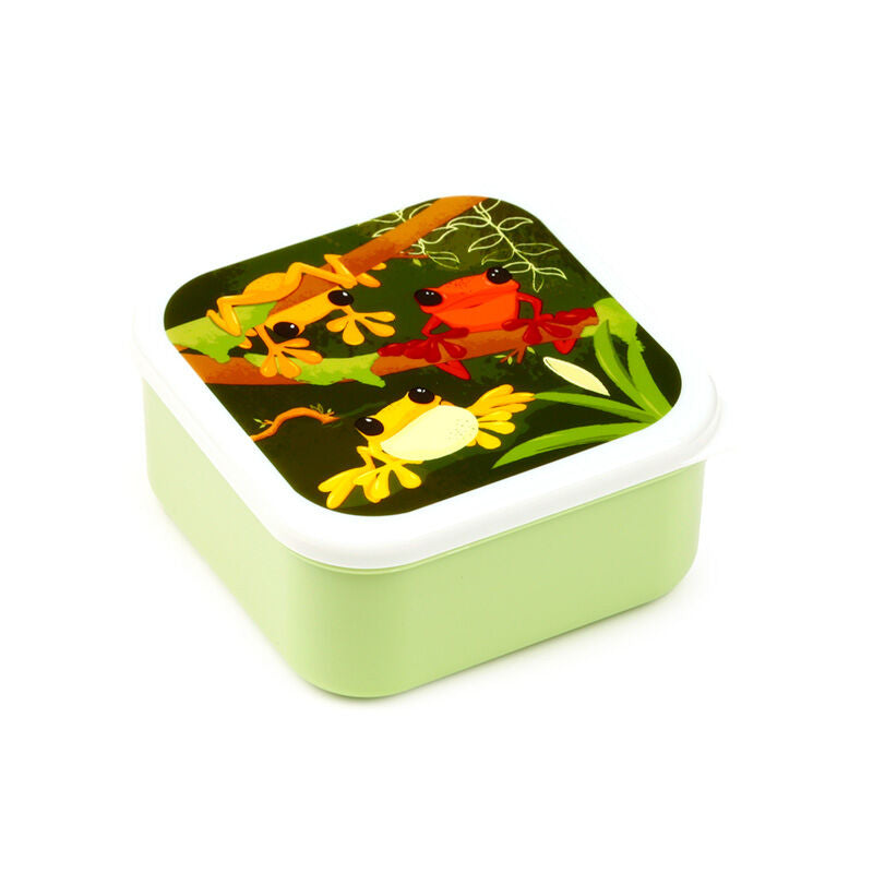 Lunch Boxes Set of 3 (M/L/XL) - Tropical Tree Frog