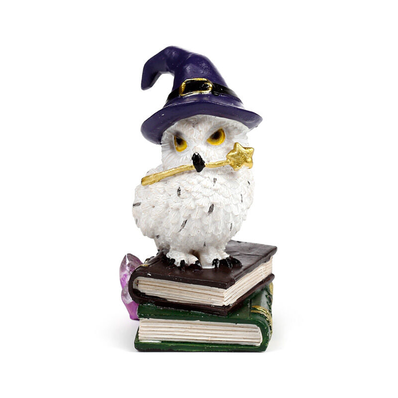 Wise Old Magical Owl - Spell Books