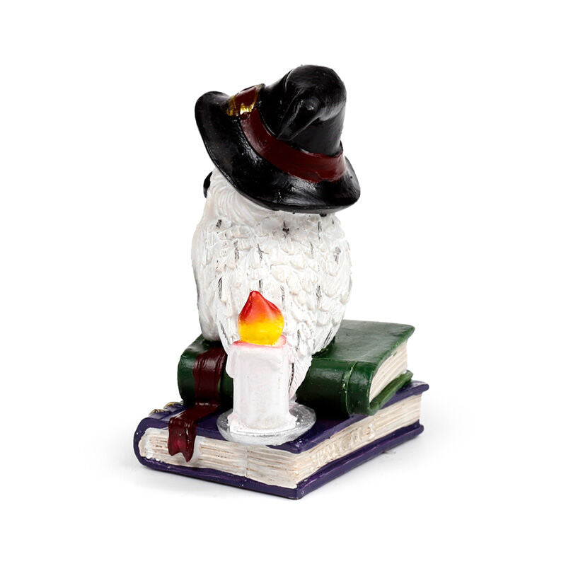 Wise Old Magical Owl - Spell Books