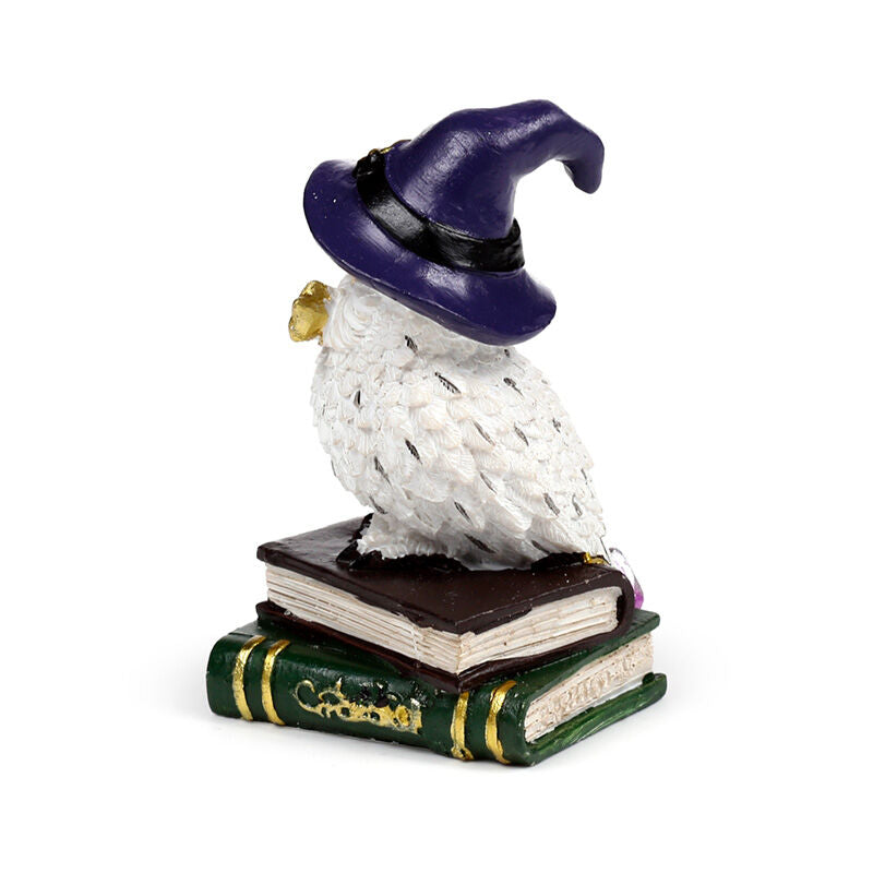 Wise Old Magical Owl - Spell Books