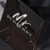 Burberry Mr. Burberry Eau de Parfum 100ml Spray