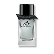 Burberry Mr. Burberry Eau de Toilette 100ml Spray