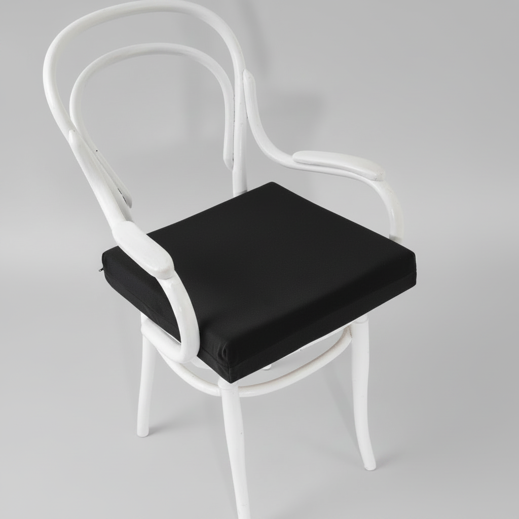 Orthopaedic Seat Booster Raiser Cushion