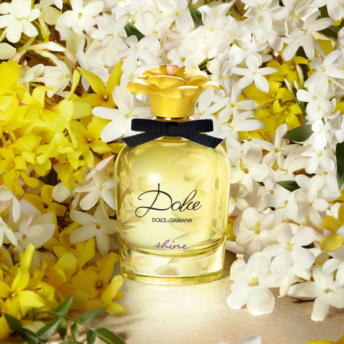 Dolce & Gabbana Dolce Shine Eau de Parfum 50ml Spray