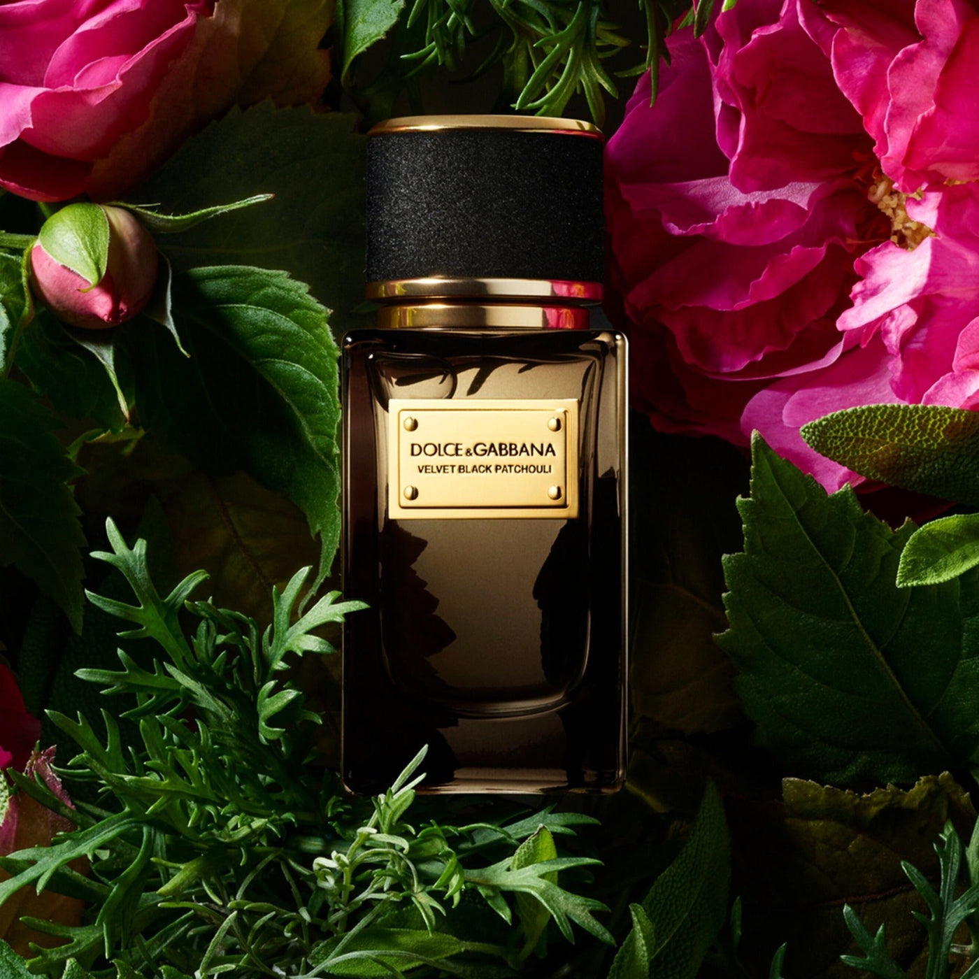 Dolce & Gabbana Velvet Black Patchouli Eau de Parfum 100ml Spray