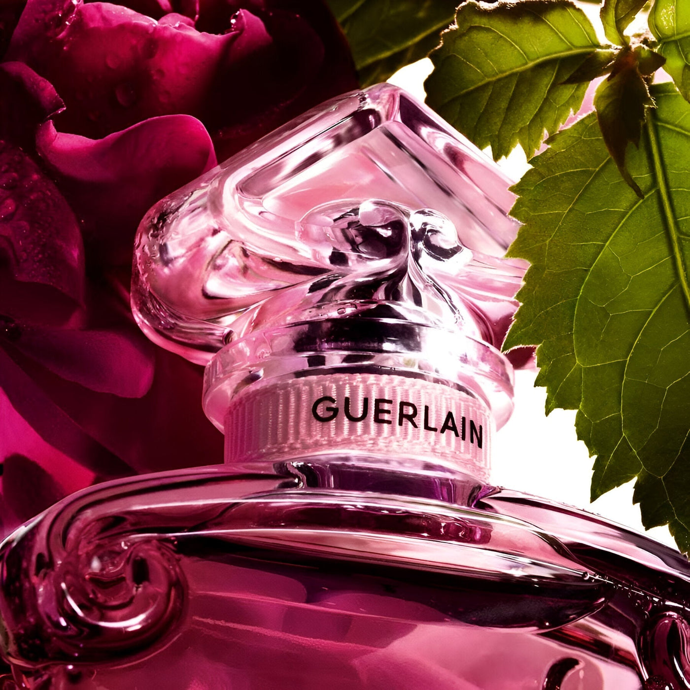 Guerlain La Petite Robe Noire Eau de Parfum Absolue 100ml Spray