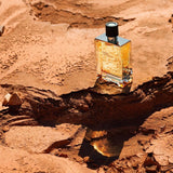 Hermes Terre d'Hermes Eau de Toilette Gift Set 2 x 50ml EDT