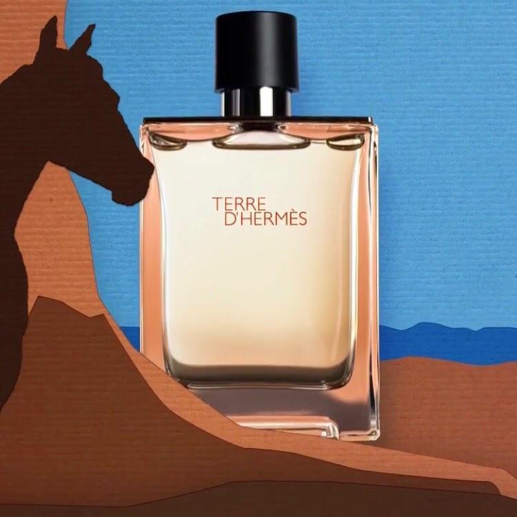 Hermes Terre d'Hermes Eau de Toilette Gift Set 2 x 50ml EDT