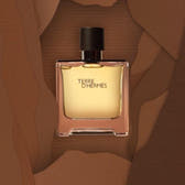 Hermes Terre d'Hermes Eau de Toilette 200ml Spray