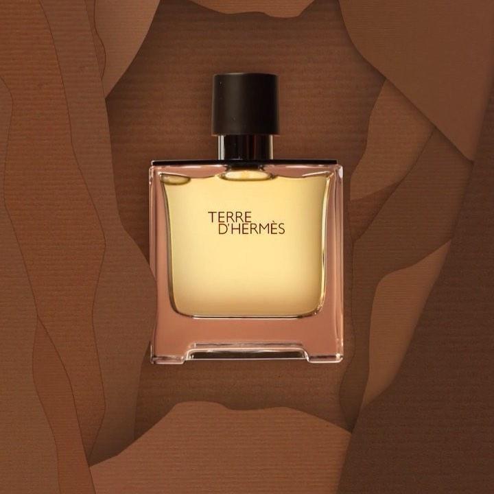 Hermes Terre d'Hermes Eau de Toilette 50ml Spray