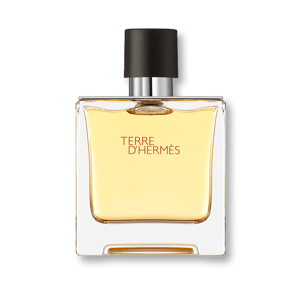 Hermes Terre d'Hermes Eau de Toilette 100ml Spray