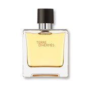 Hermes Terre d'Hermes Eau de Toilette 100ml Spray