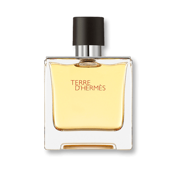 Hermes Terre d'Hermes Eau de Toilette 50ml Spray