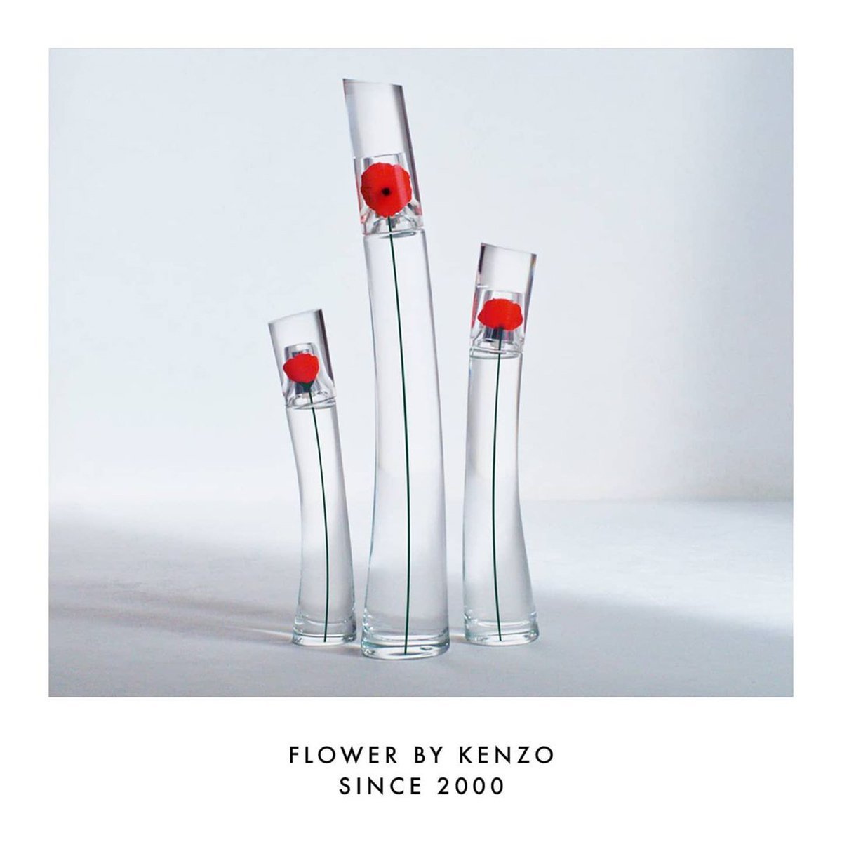 Kenzo Flower Eau de Parfum 50ml Spray - Kokeshi Doll