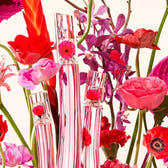 Kenzo Flower by Kenzo Poppy Bouquet Eau de Parfum 50ml Spray