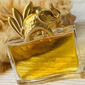Kenzo Jungle Elephant Eau de Parfum 100ml Spray